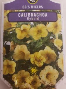 Calibrachoa (million bells) - 4" pot - various colours