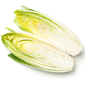 Seeds - Leaf Chicory - Head Forming